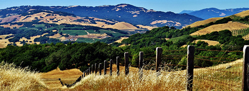 Tolay Lake Regional Park