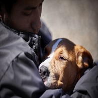 man with pit bull