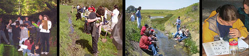 collage of various educational tasks
