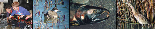 Grant collage