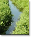 Little River