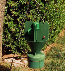 Japanese beetle Trap