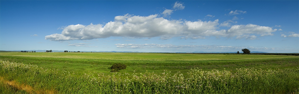 Dickson Ranch, Sonoma County