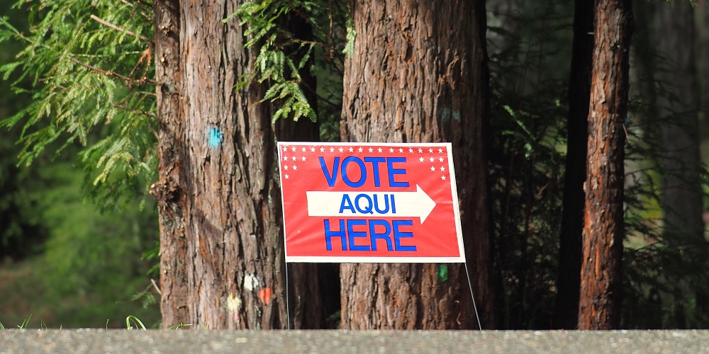 A "Vote Here" sign along a road with a forest in the background in the spring.