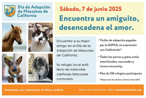 Dia de Adopcion de Mascotas de California