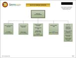 Acute & Forensic Services Organizational Chart