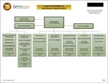 Quality Assessment & Performance Improvement Organizational Chart